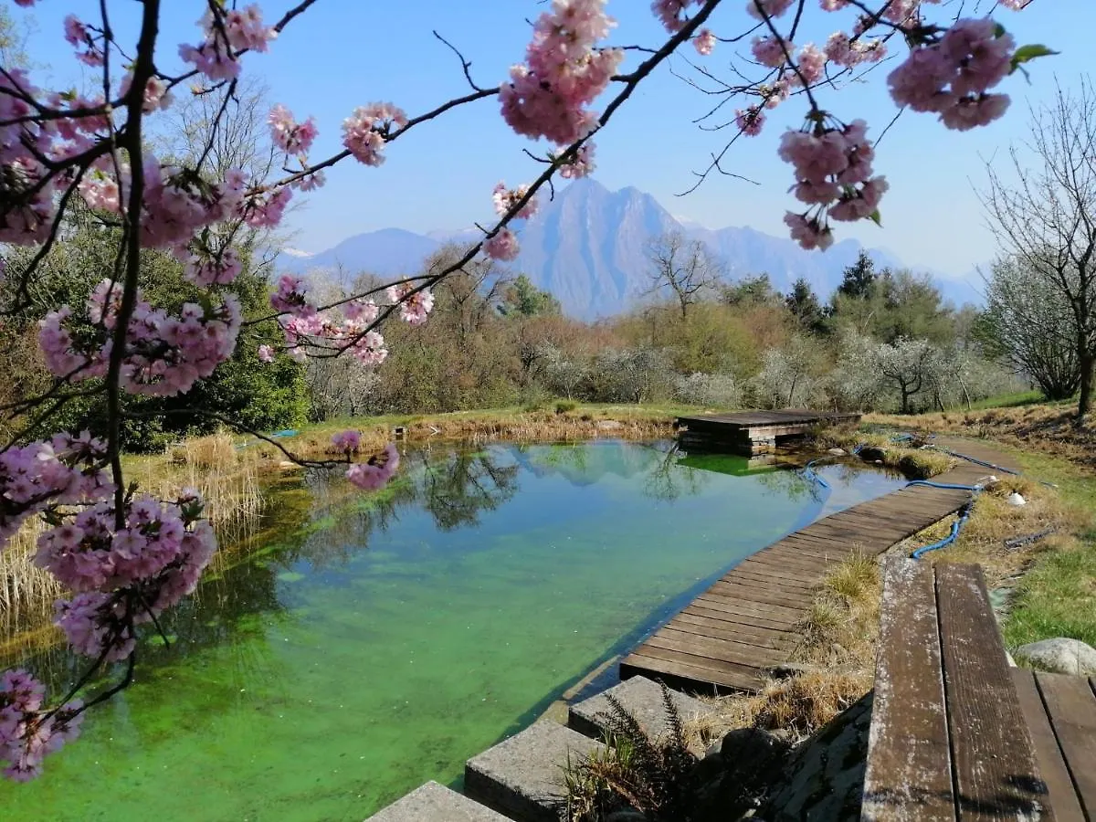 Iseolakerental - Villa Dossello Solto Collina